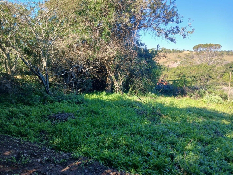 0 Bedroom Property for Sale in Bathurst Eastern Cape